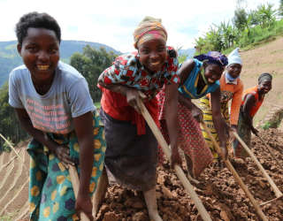 Le programme de moyens de subsistance résilients du PAM au Rwanda à Rutsiro, dans l'ouest du pays. Photo : PAM/Emily Fredenberg