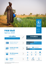 PAM Mali Aperçu 2020
